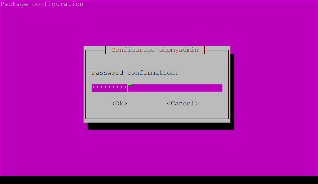 Confirm phpmyadmin password