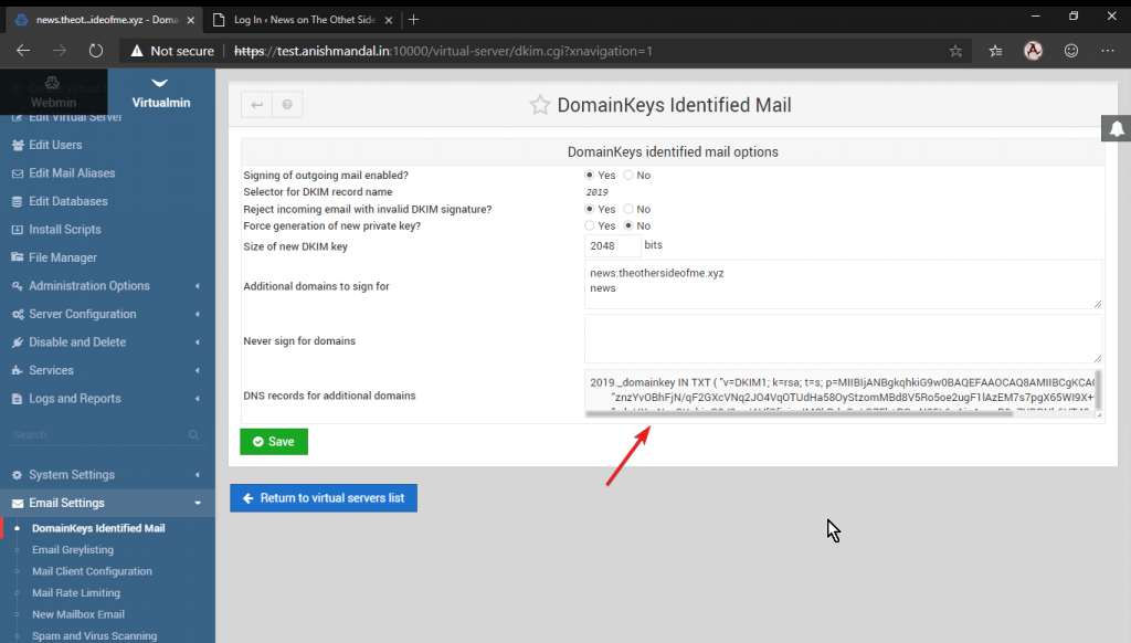 DNS update DKIM TXT