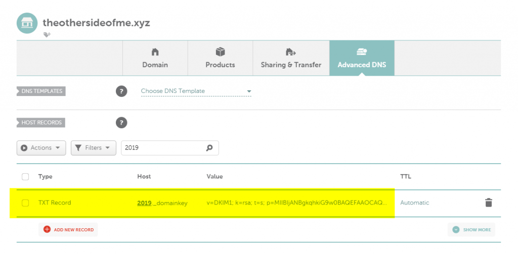 DNS Update