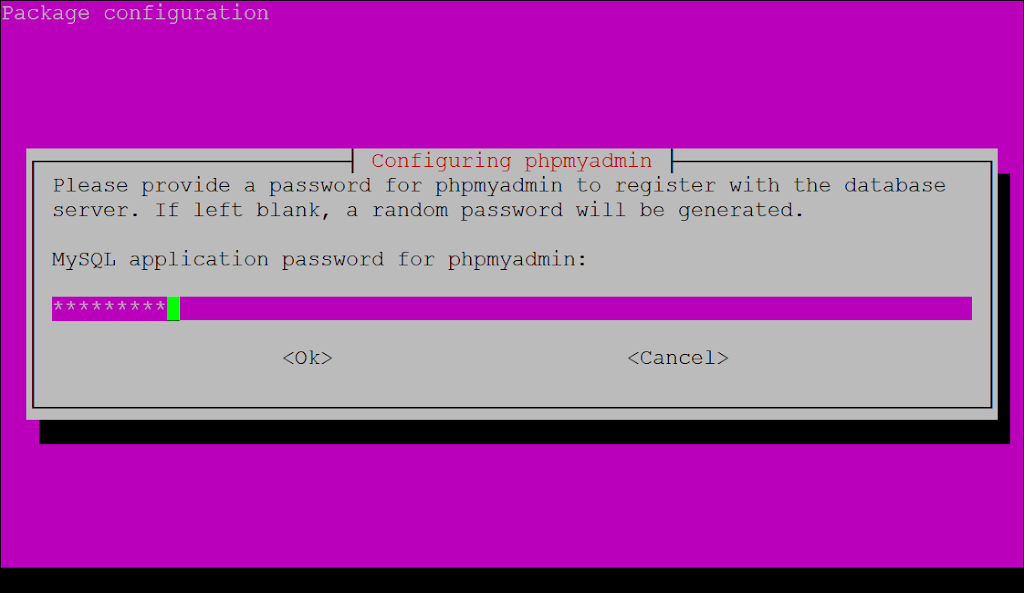 set phpmyadmin password